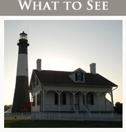 What to See